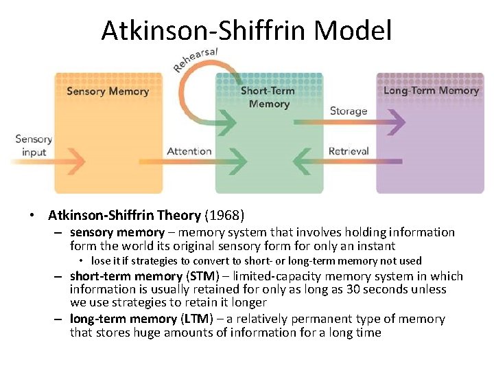Atkinson-Shiffrin Model • Atkinson-Shiffrin Theory (1968) – sensory memory – memory system that involves