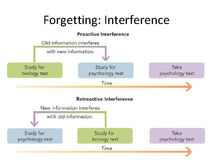 Forgetting: Interference 