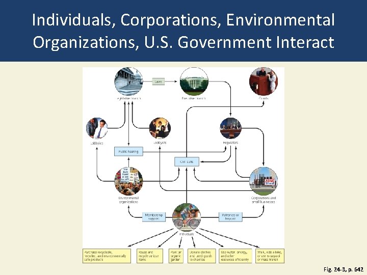 Individuals, Corporations, Environmental Organizations, U. S. Government Interact Fig. 24 -3, p. 642 
