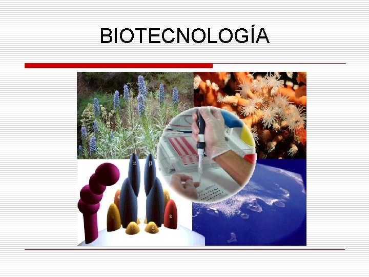 BIOTECNOLOGÍA 