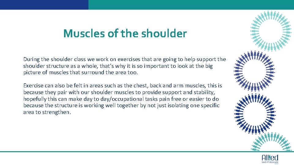 Muscles of the shoulder During the shoulder class we work on exercises that are