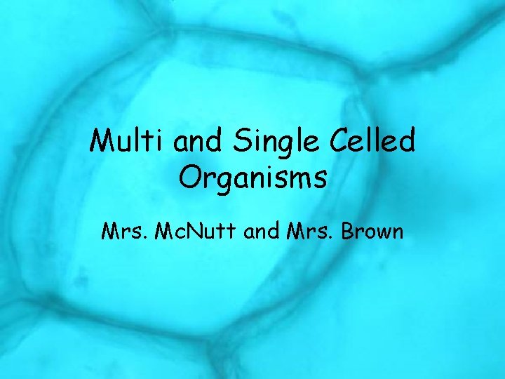 Multi and Single Celled Organisms Mrs. Mc. Nutt and Mrs. Brown 