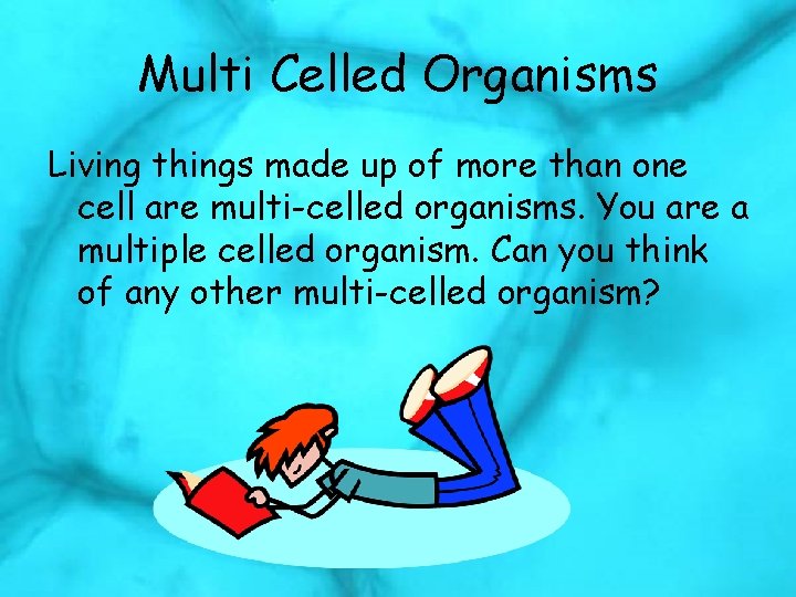 Multi Celled Organisms Living things made up of more than one cell are multi-celled