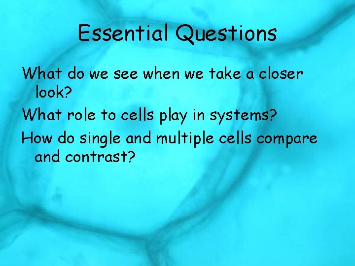 Essential Questions What do we see when we take a closer look? What role