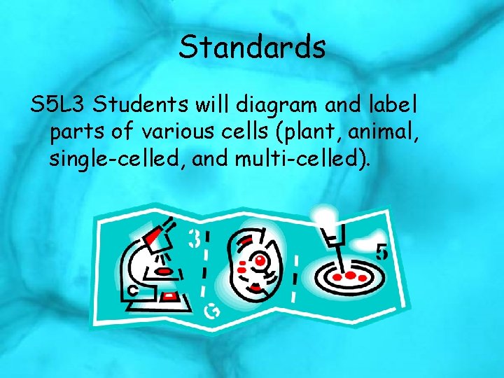 Standards S 5 L 3 Students will diagram and label parts of various cells