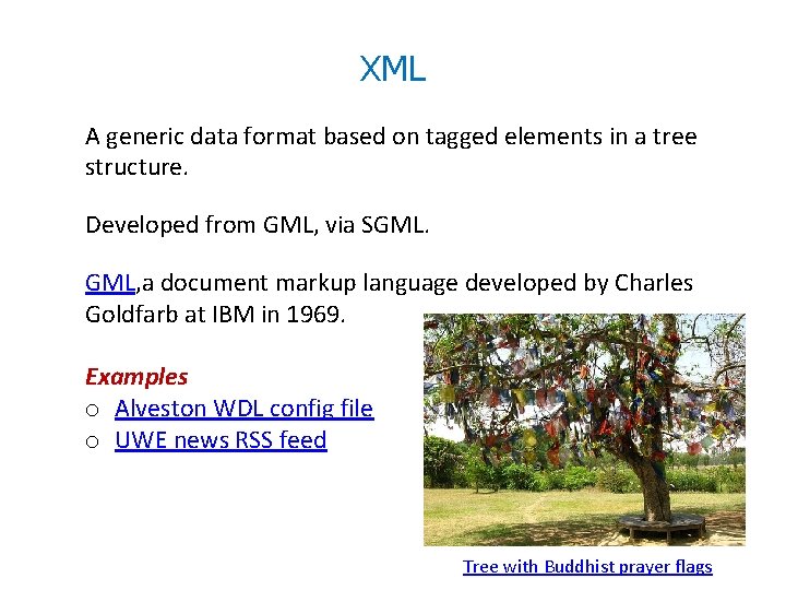 XML A generic data format based on tagged elements in a tree structure. Developed XML A generic data format based on tagged elements in a tree structure. Developed