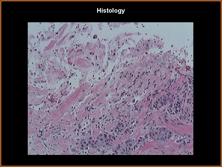 Histology 