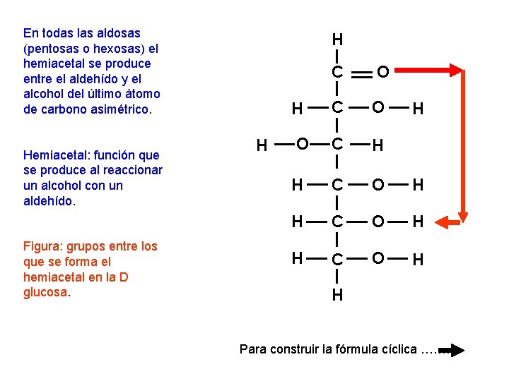 En todas las aldosas (pentosas o hexosas) el hemiacetal se produce entre el aldehído