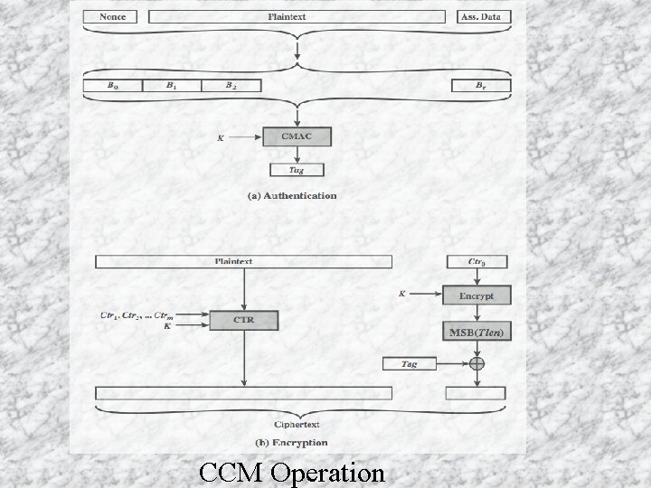 CCM Operation CCM Operation