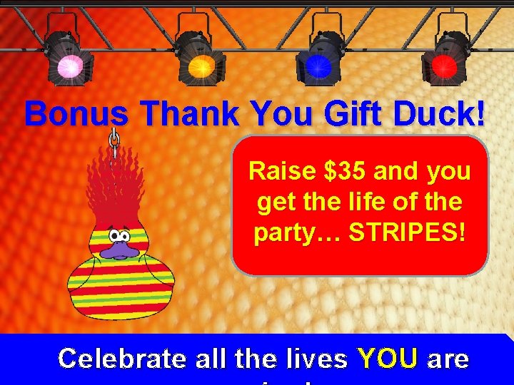 Bonus Thank You Gift Duck! Raise $35 and you get the life of the