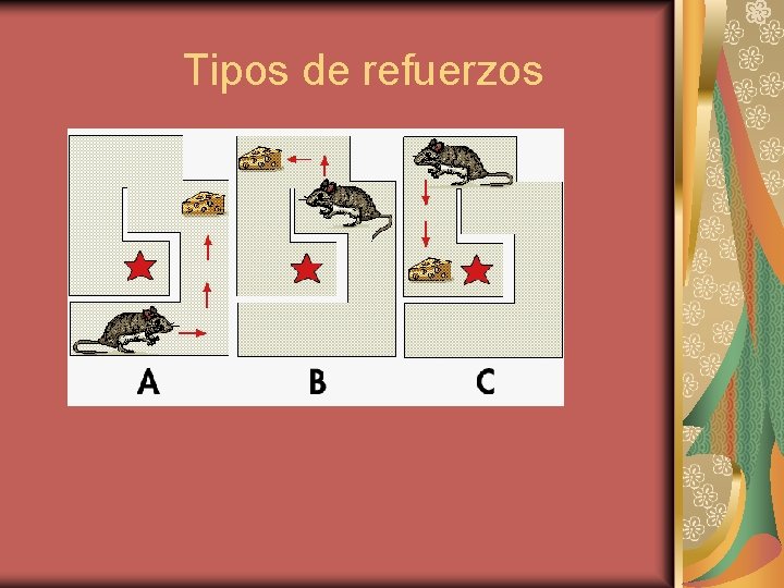 Tipos de refuerzos 