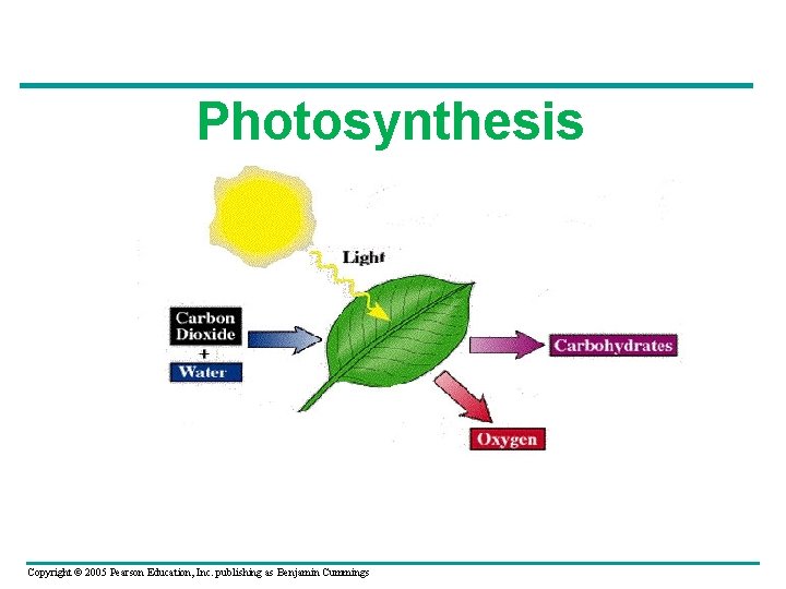 Photosynthesis Copyright © 2005 Pearson Education, Inc. publishing as Benjamin Cummings 