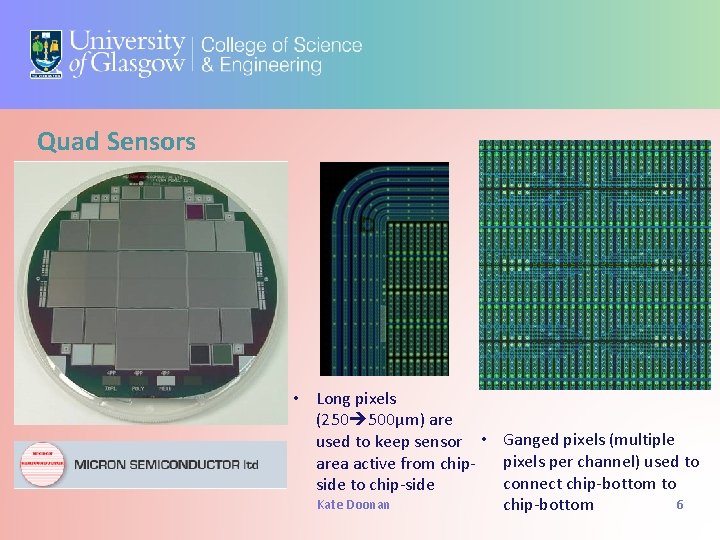 Quad Sensors • Long pixels (250 500μm) are used to keep sensor • Ganged