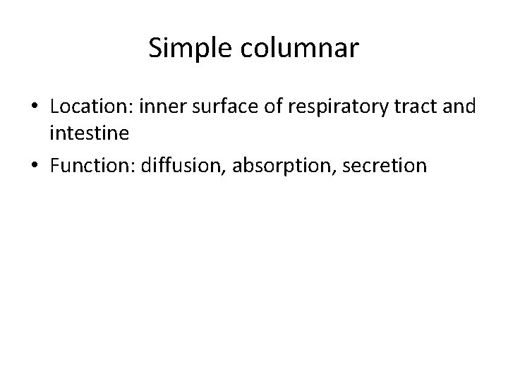 Simple columnar • Location: inner surface of respiratory tract and intestine • Function: diffusion,