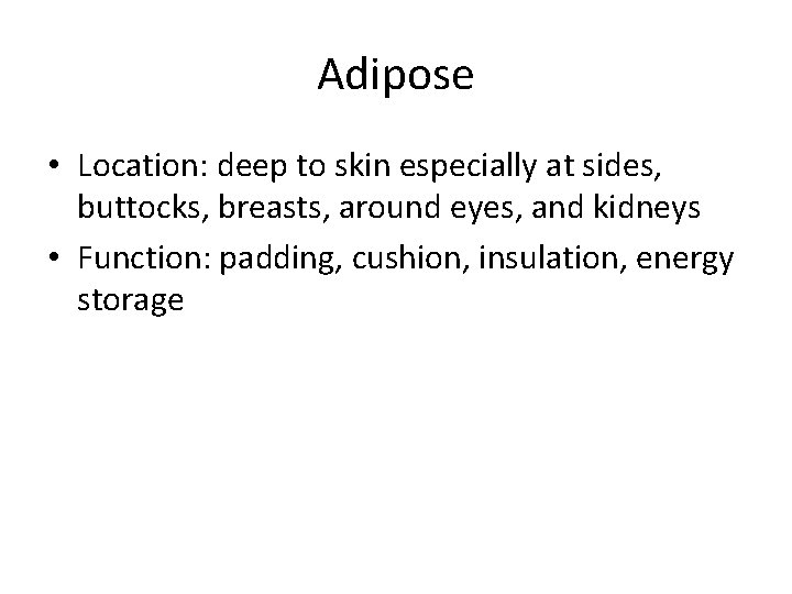 Adipose • Location: deep to skin especially at sides, buttocks, breasts, around eyes, and