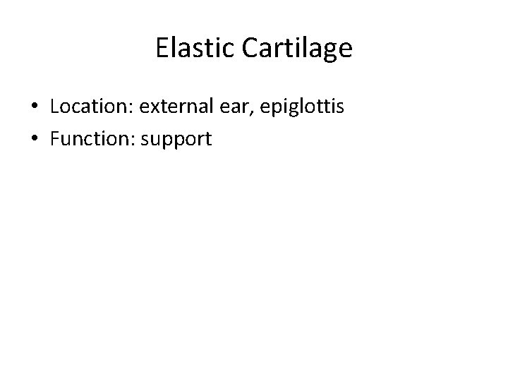 Elastic Cartilage • Location: external ear, epiglottis • Function: support 