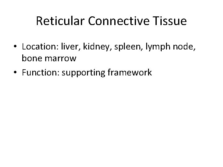 Reticular Connective Tissue • Location: liver, kidney, spleen, lymph node, bone marrow • Function: