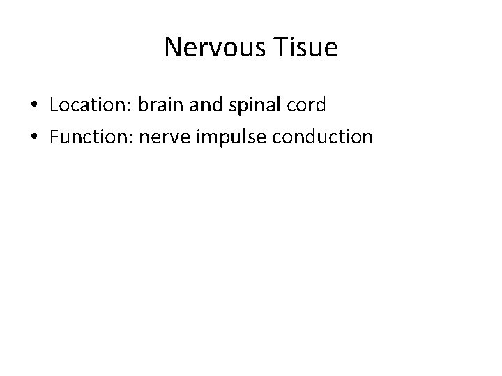 Nervous Tisue • Location: brain and spinal cord • Function: nerve impulse conduction 