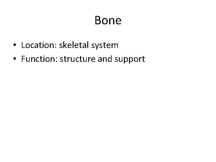 Bone • Location: skeletal system • Function: structure and support 