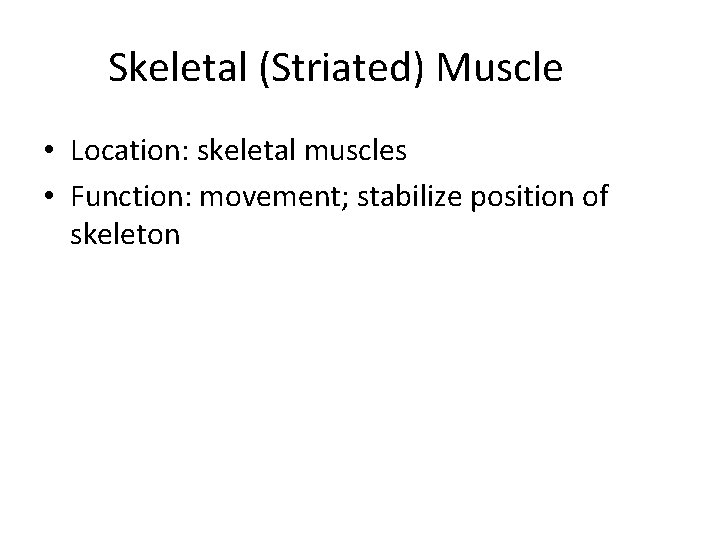 Skeletal (Striated) Muscle • Location: skeletal muscles • Function: movement; stabilize position of skeleton