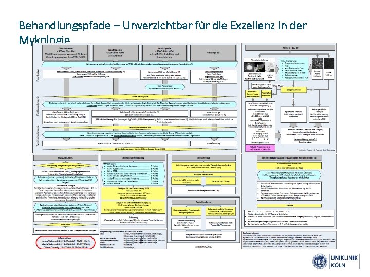 Behandlungspfade – Unverzichtbar für die Exzellenz in der Mykologie 