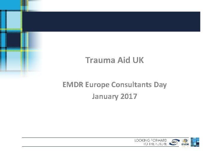 Trauma Aid UK EMDR Europe Consultants Day January 2017 