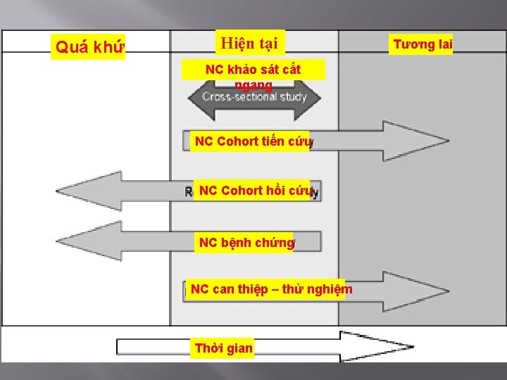 Quá khứ Hiện tại NC khảo sát cắt ngang NC Cohort tiến cứu NC