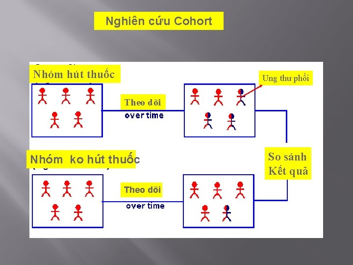 Nghiên cứu Cohort Nhóm hút thuốc Ung thư phổi Theo dõi Nhóm ko hút