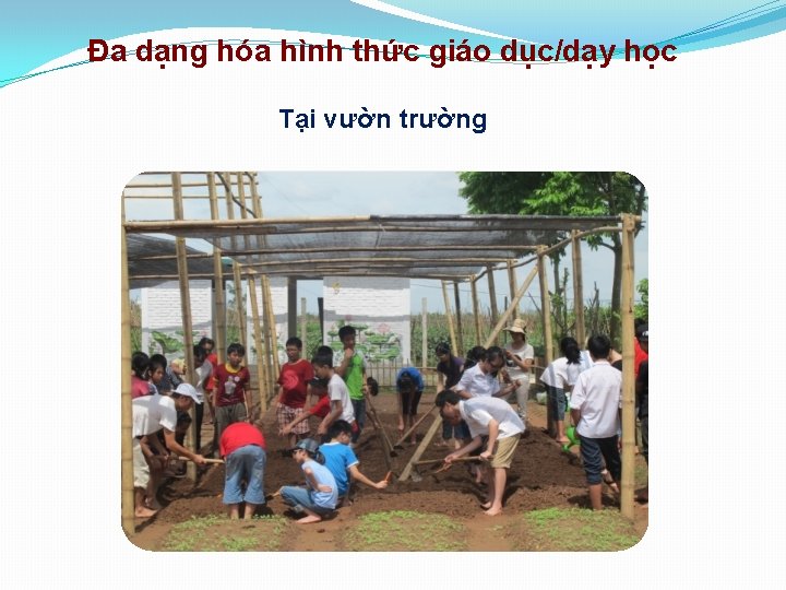 Đa dạng hóa hình thức giáo dục/dạy học Tại vườn trường 