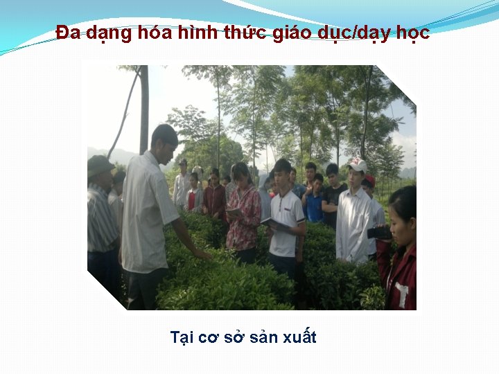 Đa dạng hóa hình thức giáo dục/dạy học Tại cơ sở sản xuất 