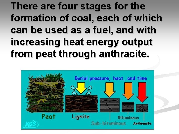 There are four stages for the formation of coal, each of which can be