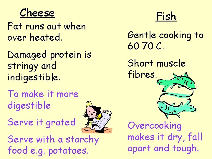 Cheese Fat runs out when over heated. Damaged protein is stringy and indigestible. Fish Cheese Fat runs out when over heated. Damaged protein is stringy and indigestible. Fish