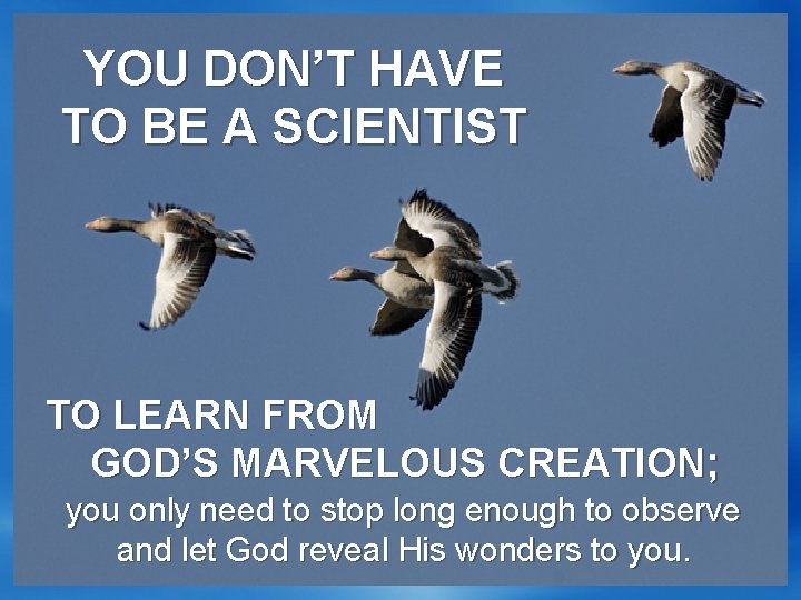 YOU DON’T HAVE TO BE A SCIENTIST TO LEARN FROM GOD’S MARVELOUS CREATION; you