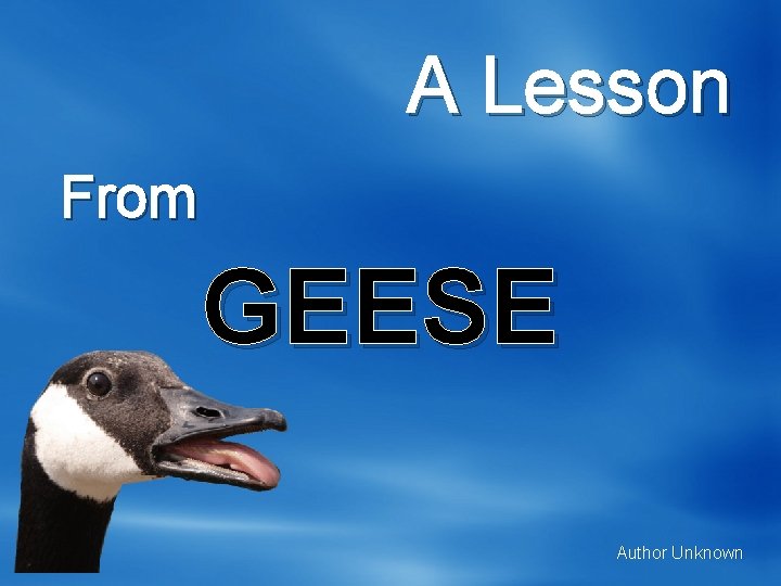 A Lesson From GEESE Author Unknown 