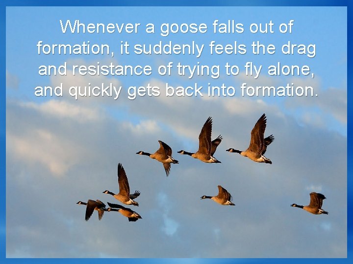 Whenever a goose falls out of formation, it suddenly feels the drag and resistance