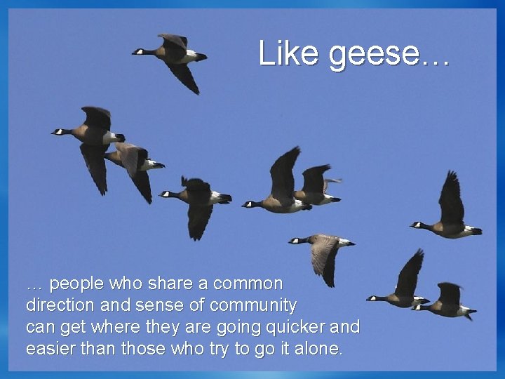 Like geese… … people who share a common direction and sense of community can