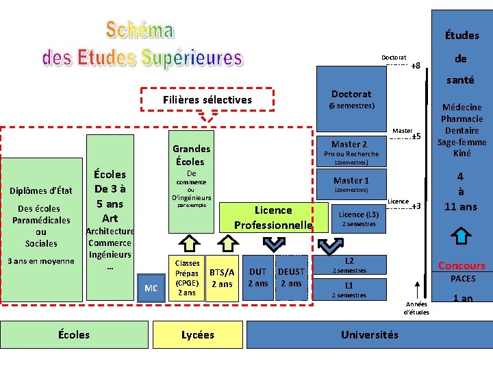 Études Doctorat +8 de santé Doctorat Filières sélectives (6 semestres) Master Diplômes d’État Des