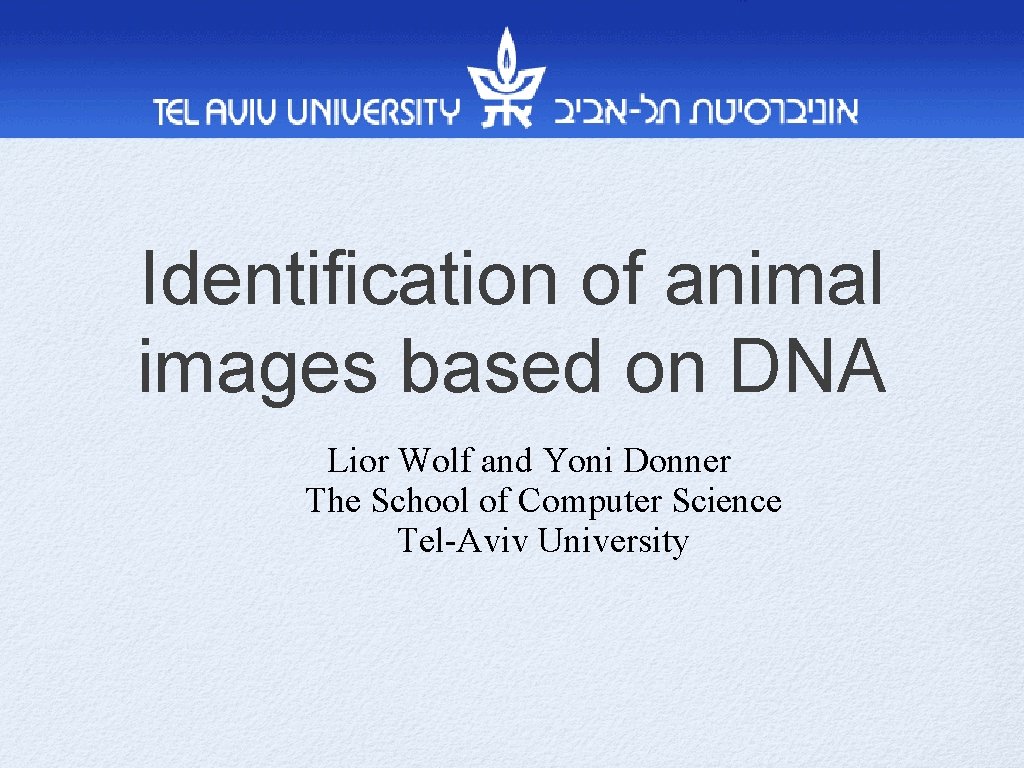 Identification of animal images based on DNA Lior Wolf and Yoni Donner The School