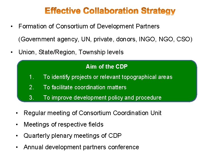  • Formation of Consortium of Development Partners (Government agency, UN, private, donors, INGO,