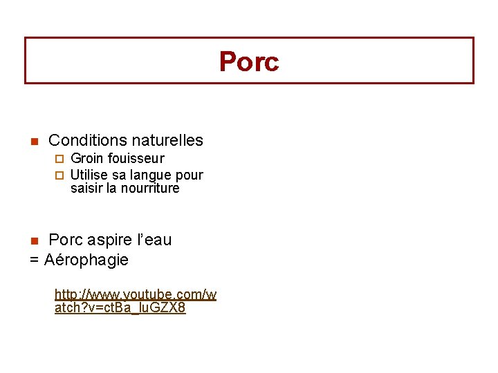 Porc n Conditions naturelles ¨ ¨ Groin fouisseur Utilise sa langue pour saisir la