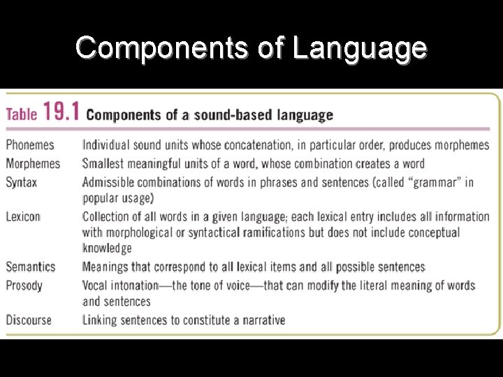 Different Language Components Notes Exam corrections due on Thursday November 12