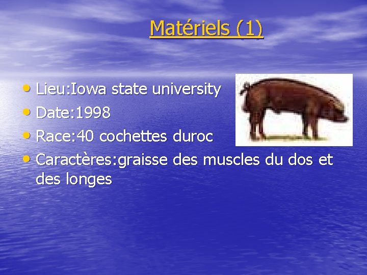 Matériels (1) • Lieu: Iowa state university • Date: 1998 • Race: 40 cochettes