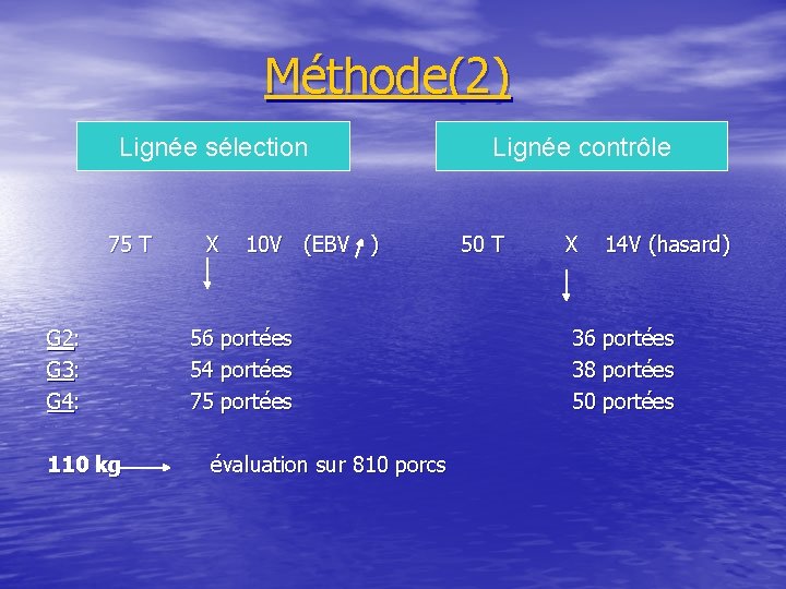 Méthode(2) Lignée sélection 75 T G 2: G 3: G 4: 110 kg X