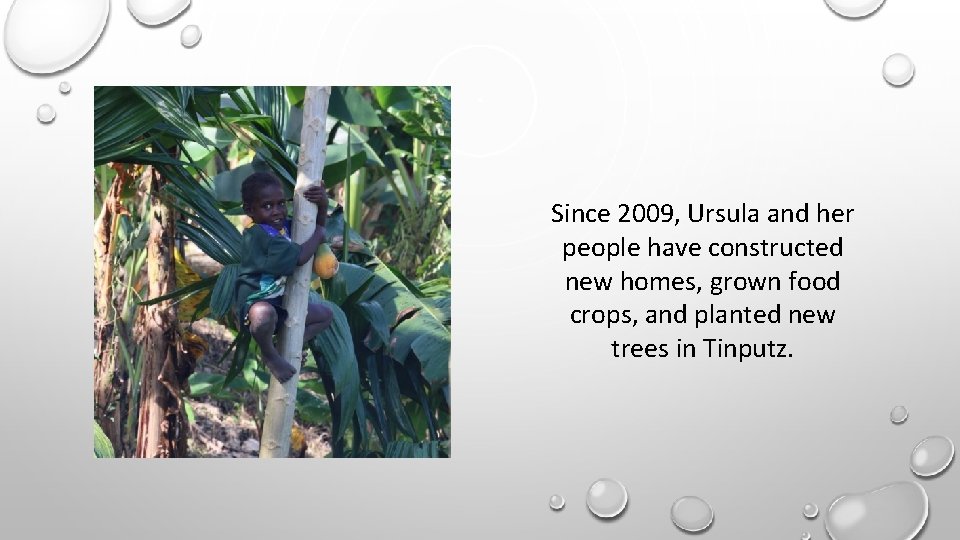 Since 2009, Ursula and her people have constructed new homes, grown food crops, and