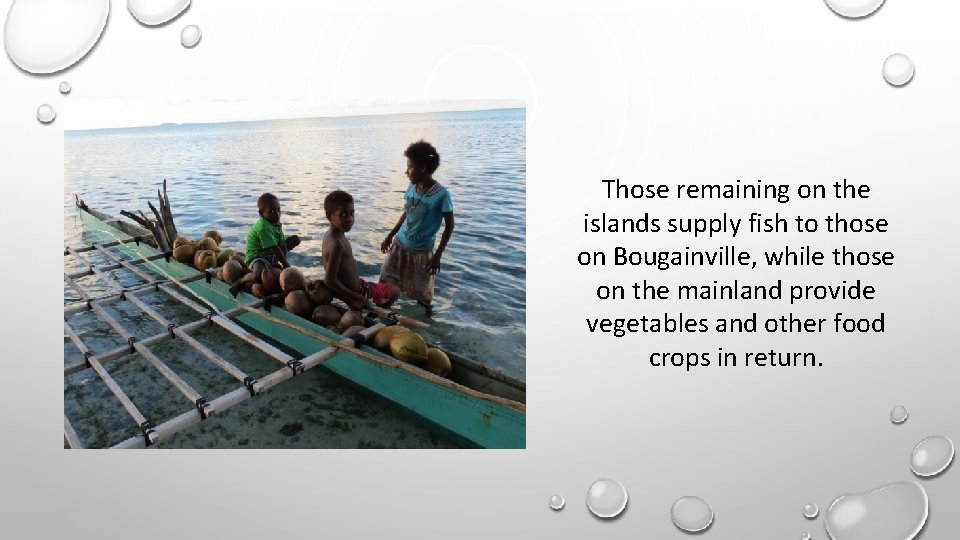 Those remaining on the islands supply fish to those on Bougainville, while those on