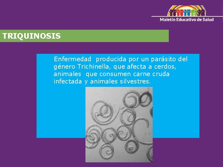 TRIQUINOSIS Enfermedad producida por un parásito del género Trichinella, que afecta a cerdos, animales