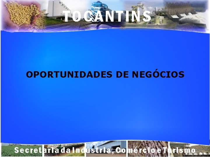 OPORTUNIDADES DE NEGÓCIOS 