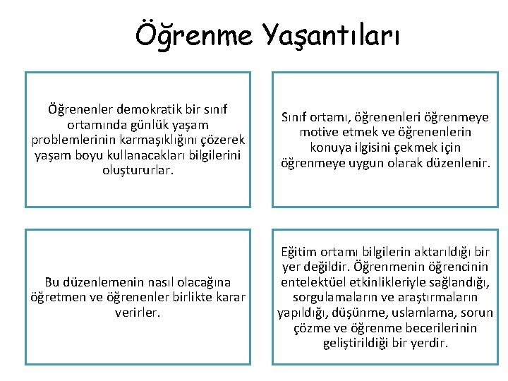 Öğrenme Yaşantıları Öğrenenler demokratik bir sınıf ortamında günlük yaşam problemlerinin karmaşıklığını çözerek yaşam boyu