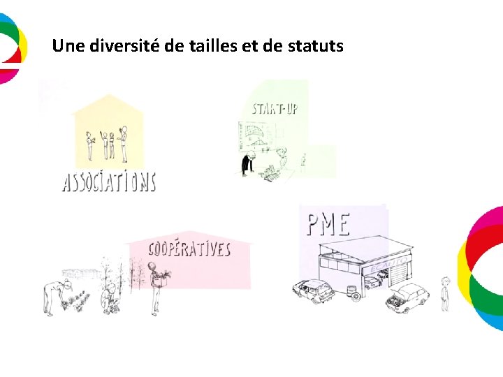 Une diversité de tailles et de statuts 