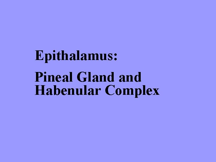 Epithalamus: Pineal Gland Habenular Complex 